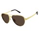 Replica Cartier 10926 CFR#10201 Replica Ct0425S Sunglasses Shiny Gold - Sg63 Uk - 10926 - Buddha Luxury