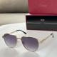 Replica Cartier 10926 CFR#10201 Replica Ct0425S Sunglasses Shiny Gold - Sg63 Uk - 10926 - Buddha Luxury