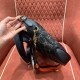 Replica Gucci 7625 2604599-2604599-0-0-0-0-0-0 Buddha Luxury Replica Jackie 1961 Uk - 7625 - Buddha Luxury