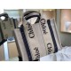 Replica Chloé 5716 dlz1757525385212 Buddha Luxury Replica chloe Small Woody Tote Bag In Canvas With Blue Leather Strips Uk - 5716 - Buddha Luxury