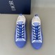 Pair of Dior B23 Low-Top Oblique Print Blue Trainers top-down view