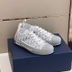 Angled pair shot of Dior B23 low-top trainers in white and grey on navy box