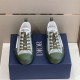 Dior B23 Low Top Trainers Green Oblique Canvas top-down front pair view on blue shoebox in green and white