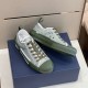Dior B23 Low Top Trainers Green Oblique Canvas angle display showing inner and outer profile in green and white