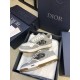 Dior B27 Low Top Grey White Canvas Low Top Trainers pair angled side view in box