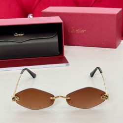 Sunglasses Ct0433S - Sg82 Uk Sunglasses Ct0433S - Sg82 Uk