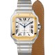 Replica Cartier Santos De Cartierautomatic Silver Stainless Steel Watch W2Sa0009 Uk