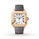 Replica Cartier Santos De Cartierautomatic Silver Alligator Watch Wgsa0019 Uk