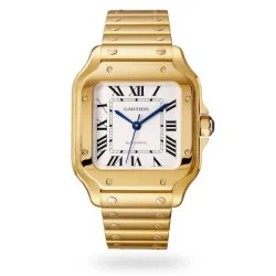 Cartier Santos De Cartier Automatic Silver 18Ct Gold Watch