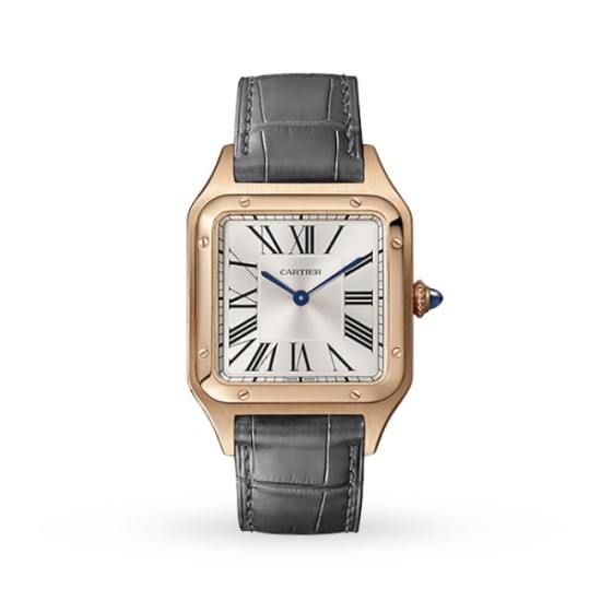replica cartier santos-dumontquartz silver alligator watch wgsa0021 uk
