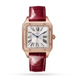 cartier santos-dumontquartz silver leather watch wjsa0016 uk